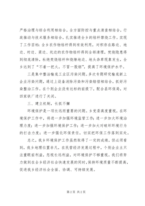 乡镇环境保护目标完成工作自查报告.docx