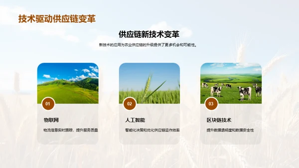 农业供应链的创新与优化