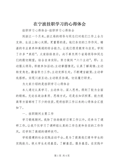 在宁波挂职学习的心得体会.docx