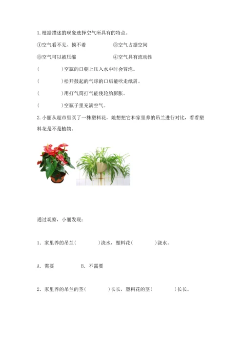苏教版一年级下册科学期末测试卷完整答案.docx