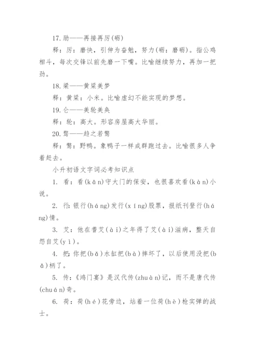 小升初语文考试字词知识点汇总整理.docx