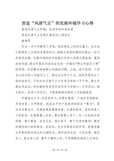 营造“风清气正”的发展环境学习心得.docx