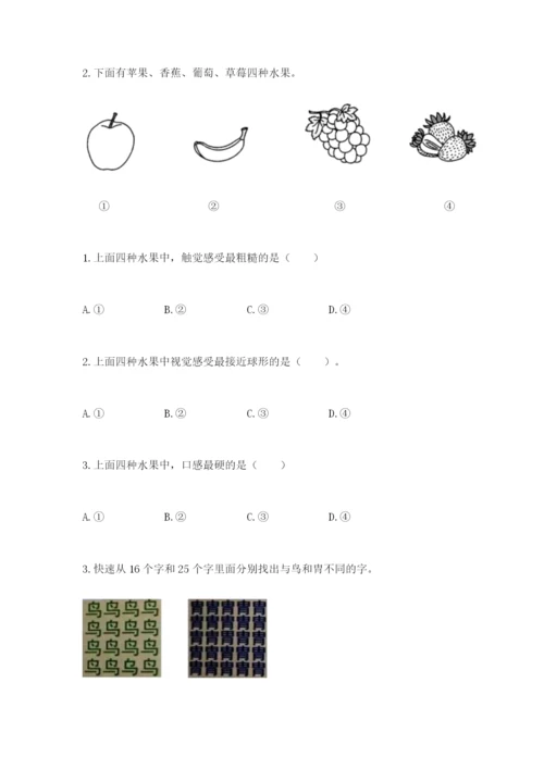 教科版二年级下册科学知识点期末测试卷（考试直接用）.docx