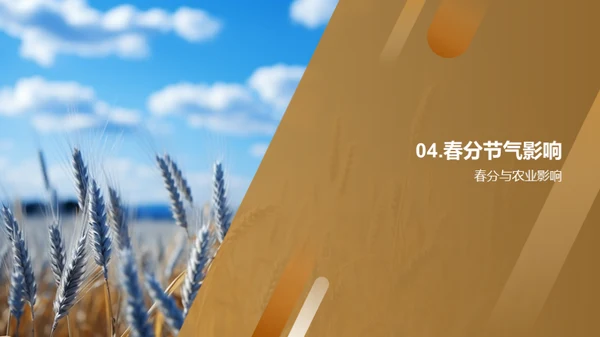 春分气候与农业策略