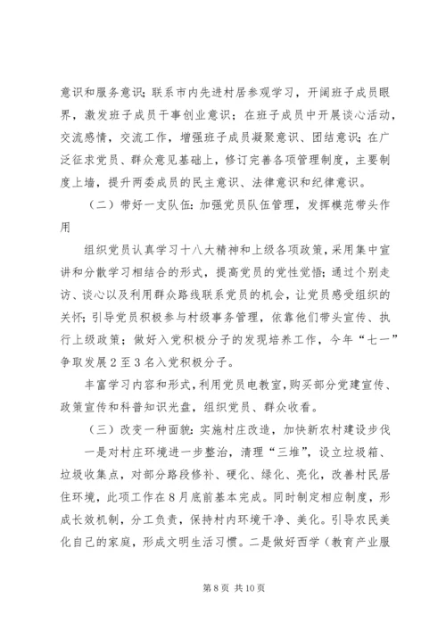 村第一书记任职规划计划.docx