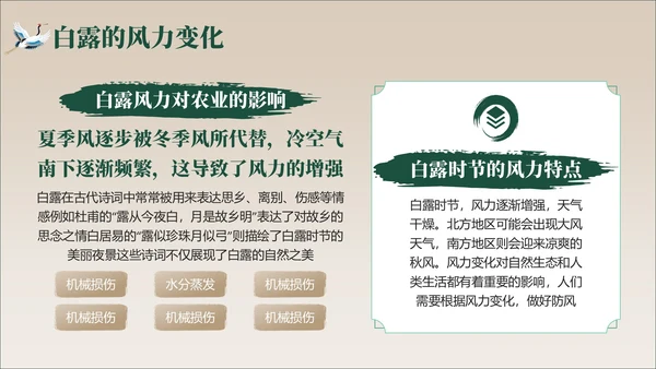 褐绿色中国风白露节气学校主题班会PPT模板
