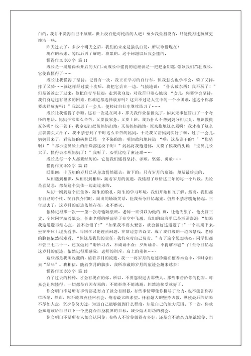 懂得作文500字