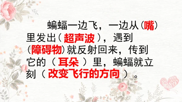 6夜间飞行的秘密  课件