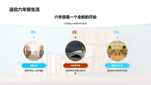 六年级生活全解析