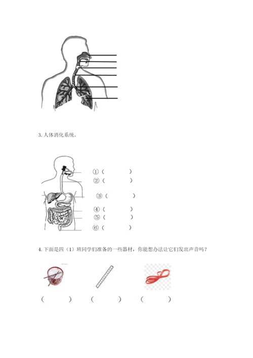 教科版四年级上册科学期末测试卷【网校专用】.docx