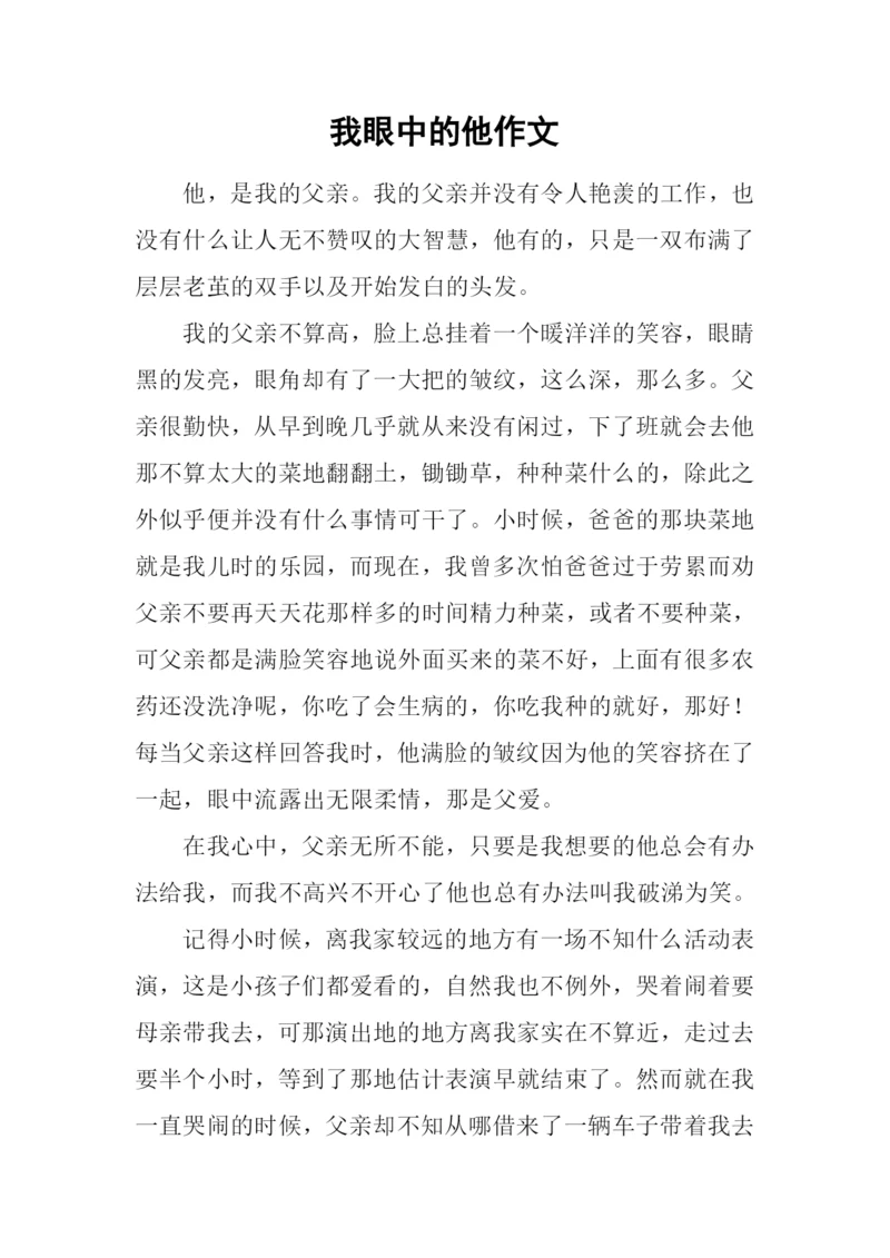 我眼中的他作文-1.docx