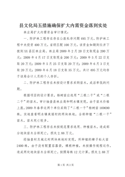 县文化局五措施确保扩大内需资金落到实处 (3).docx