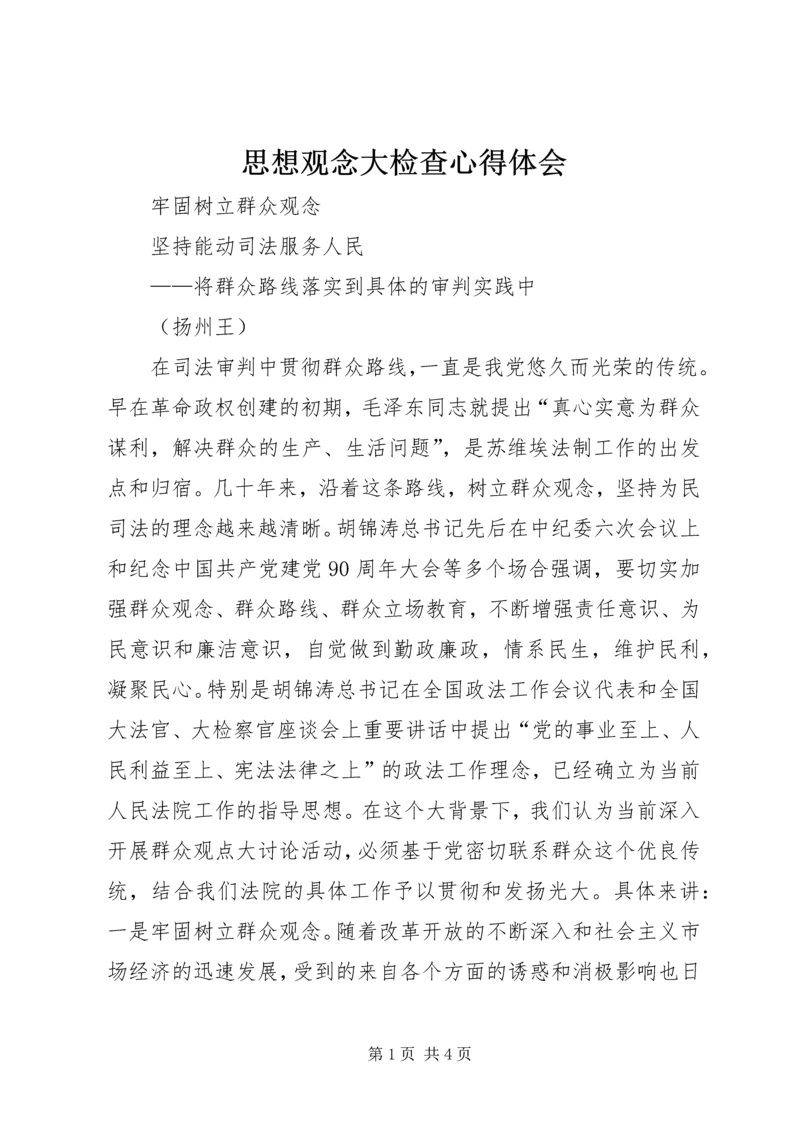 思想观念大检查心得体会 (2).docx