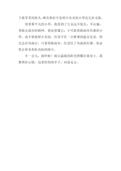 小草给我的启示作文.docx