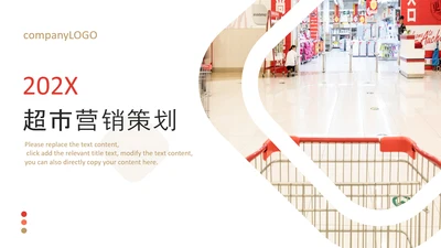 高端商务风商场购物营销策划招商引资PPT