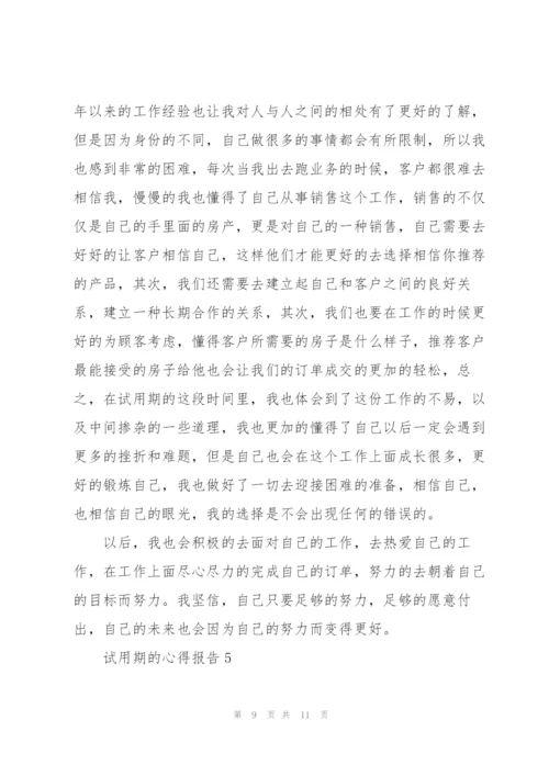 试用期的心得报告5篇.docx