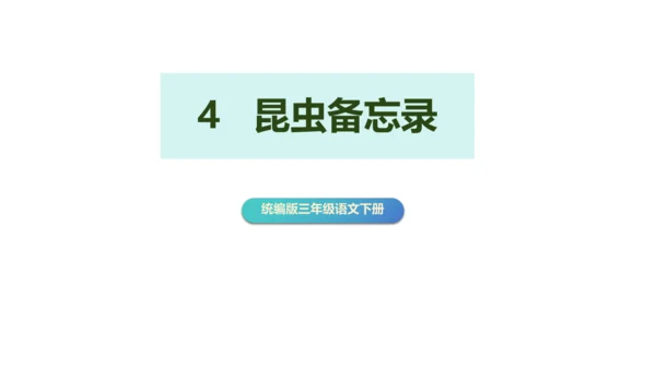 第4课《昆虫备忘录》（教学课件）