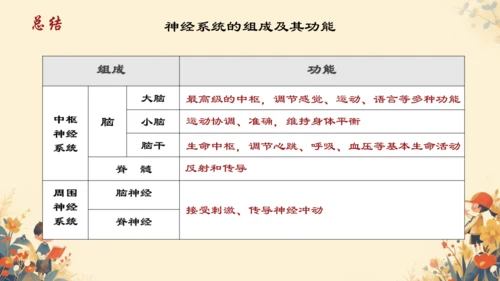 人教版（新课程标准）七年级下册4.6.2  神经系统的组成课件(共20张PPT)