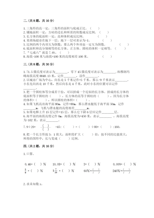 苏教版六年级数学小升初试卷及参考答案【轻巧夺冠】.docx