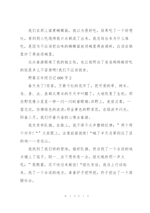 野餐五年级日记600字5篇.docx