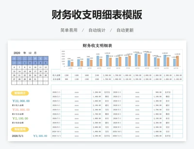 财务收支明细表模版