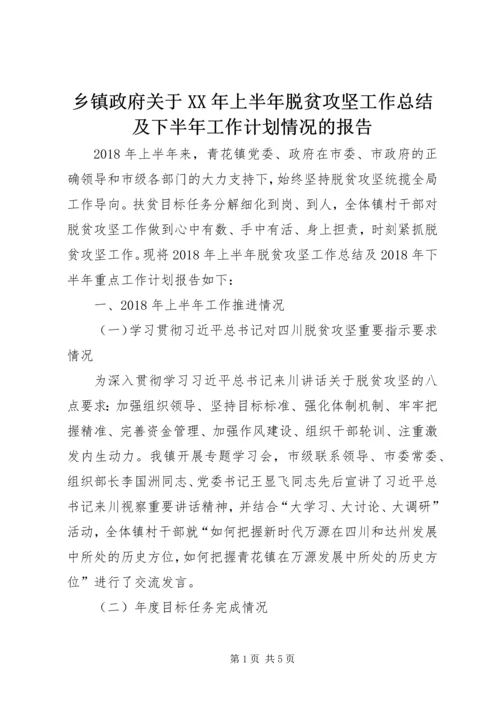 乡镇政府关于某年上半年脱贫攻坚工作总结及下半年工作计划情况的报告.docx