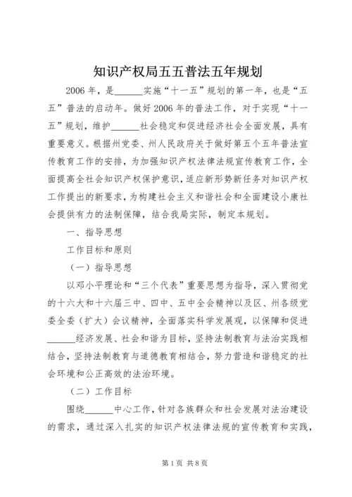 知识产权局五五普法五年规划 (3).docx