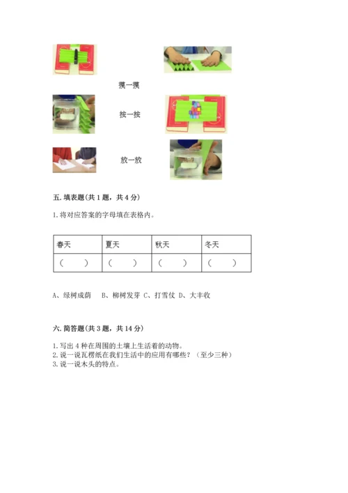 教科版科学二年级上册《期末测试卷》【典型题】.docx