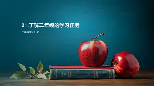 二年级学习全解析