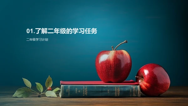二年级学习全解析