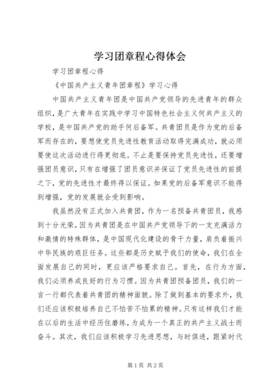 学习团章程心得体会.docx