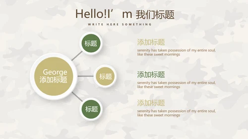 武警个人能力评测动态PPT