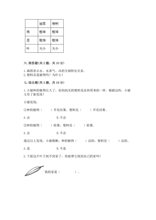 教科版科学一年级上册第一单元《植物》测试卷及答案【各地真题】.docx