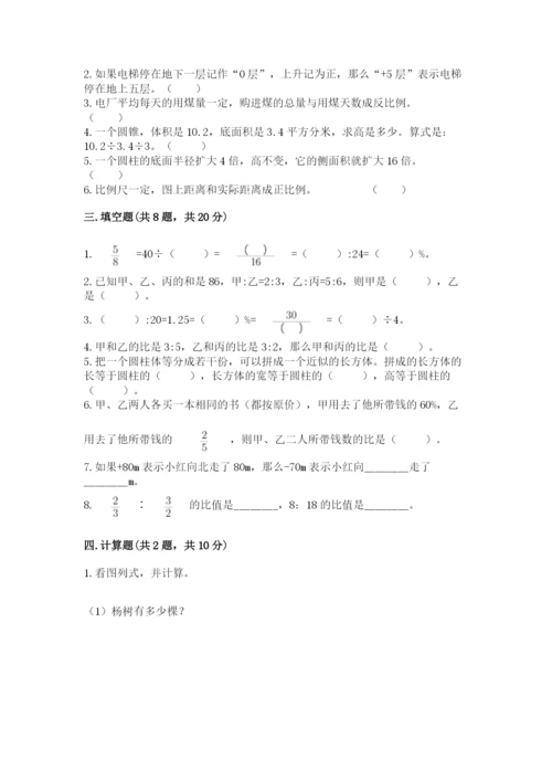 顺庆区六年级下册数学期末测试卷附答案.docx