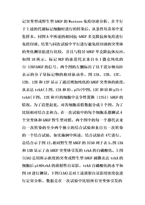 泛向神经营养因子的制作方法