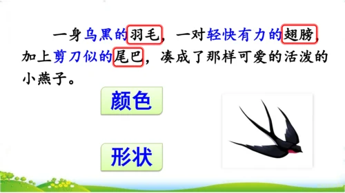 统编版语文三年级下册第一单元 《语文园地一》课件