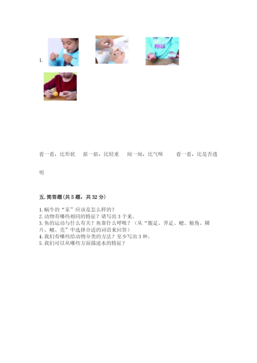 教科版一年级下册科学期末测试卷【各地真题】.docx