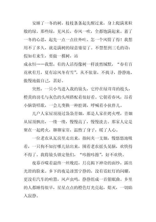 2024年遇见初三优秀作文