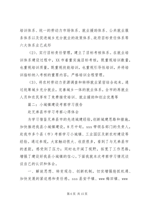 乡镇考察学习情况报告范文.docx