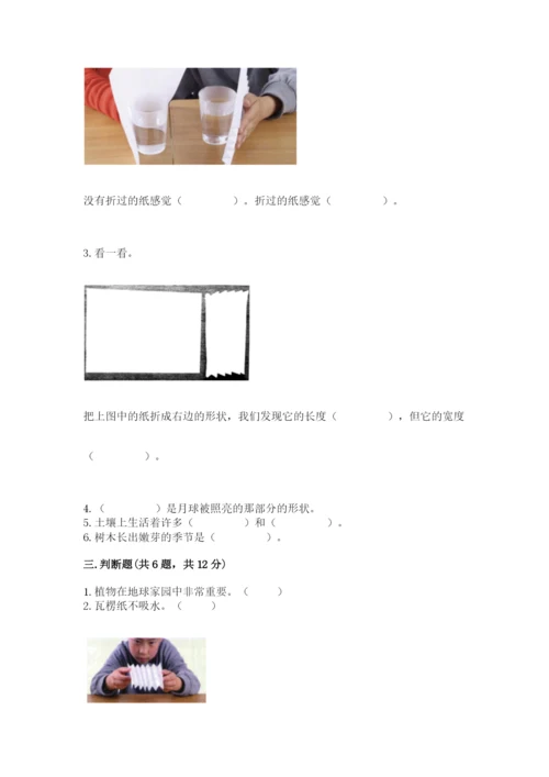 教科版小学二年级上册科学期末测试卷及参考答案【满分必刷】.docx