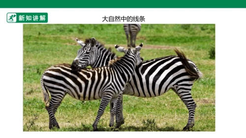 第二课《画中的线条》课件