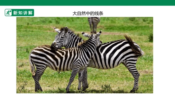 第二课《画中的线条》课件
