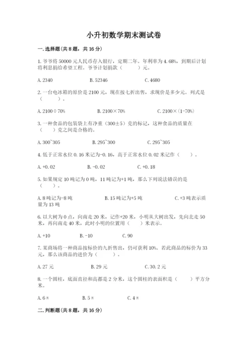 小升初数学期末测试卷精品（名师推荐）.docx