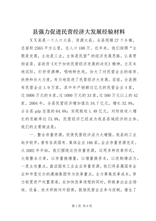 县强力促进民营经济大发展经验材料.docx