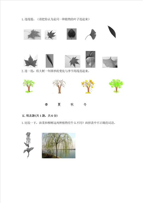 教科版科学一年级上册第一单元植物测试卷精品名师推荐