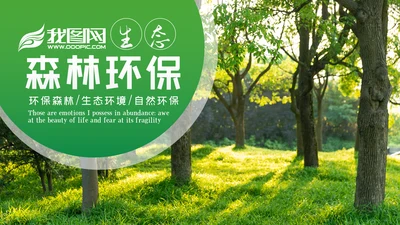 绿色环保森林湿地环境保护生态森林业PPT