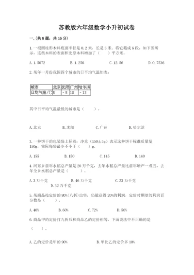 苏教版六年级数学小升初试卷及完整答案【精选题】.docx