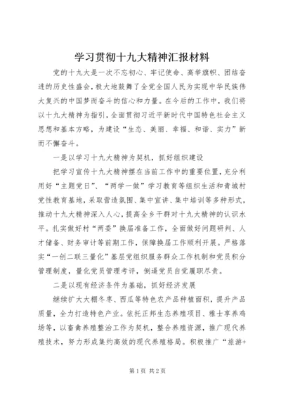 学习贯彻十九大精神汇报材料.docx