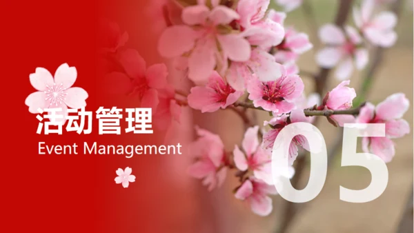 小镇桃花节策划方案通用PPT