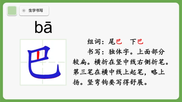 8《比尾巴》课件